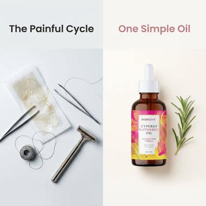 Cyperus Rotundus Oil