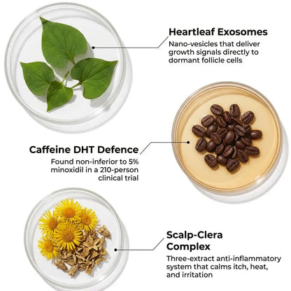 SALT & SAGE — EXOSOME HAIR SERUM